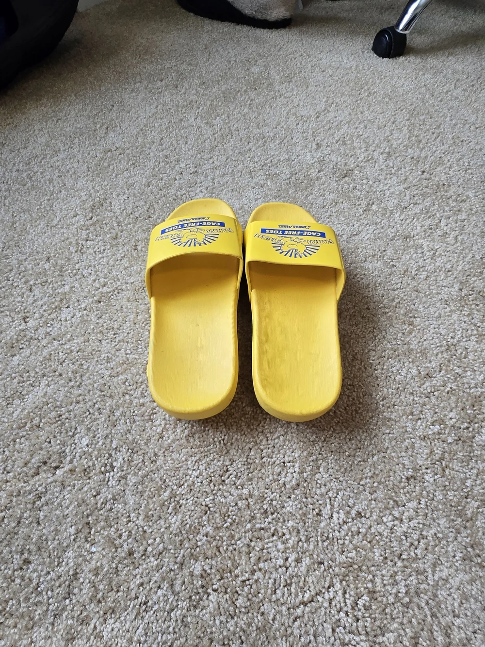 MEOW WOLF- OMEGA MART Farm Fresh Cage Free Toes Yellow Egg Carton Slides Sz. 7.5